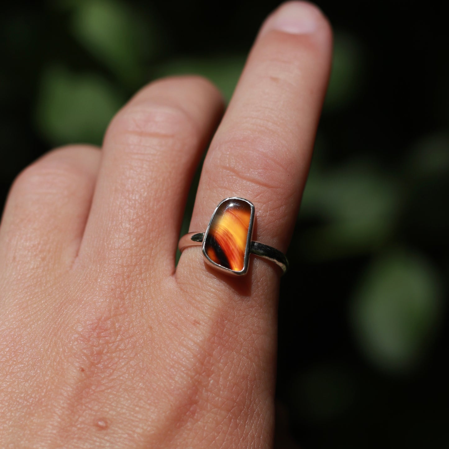 Pineduff MT Agate Ring / 8